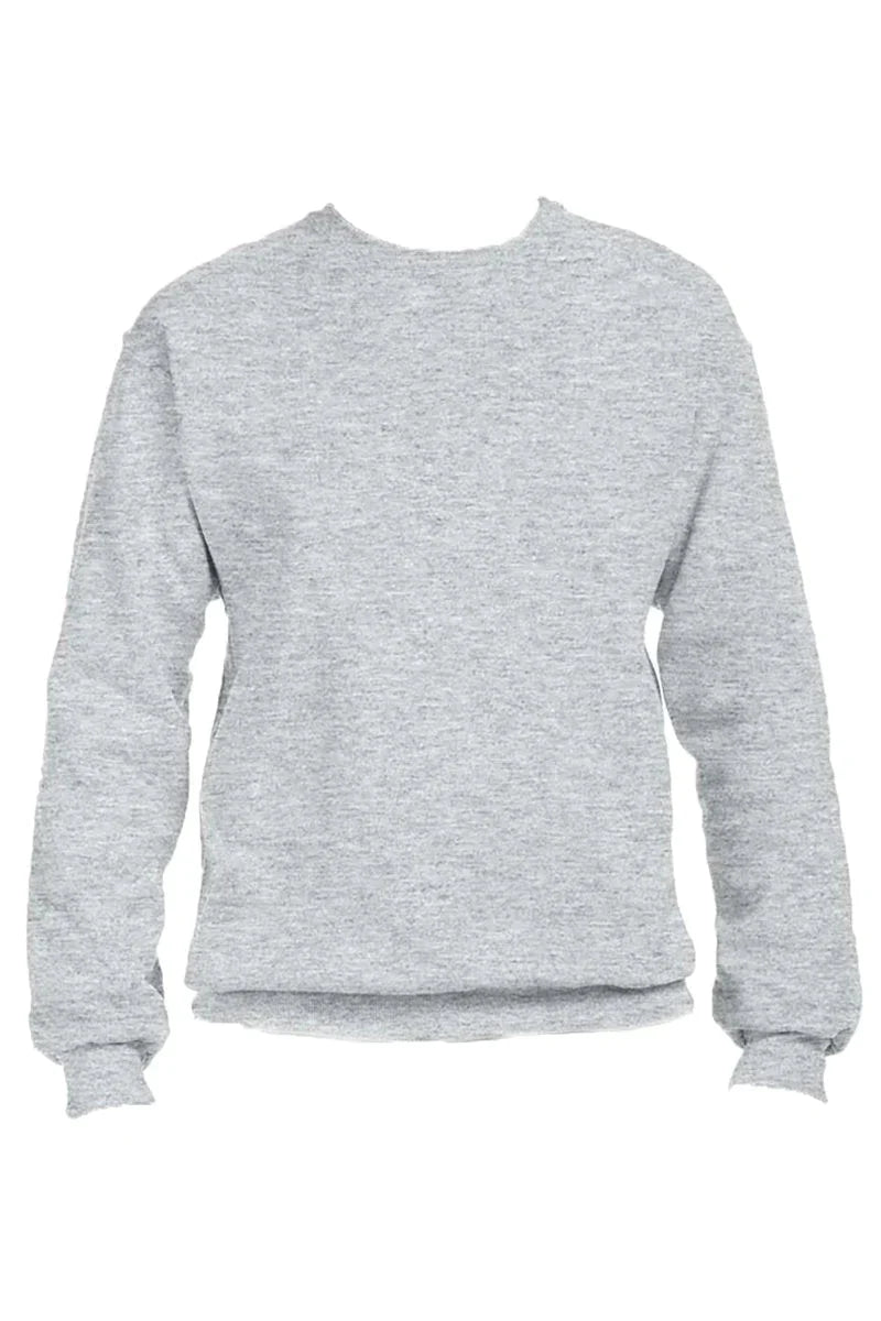 Faux Sequin GA Transfer Sweatshirt